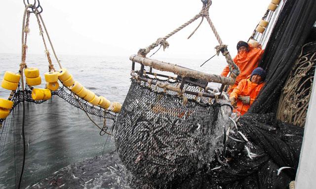 Fijan una veda de verano para la pesca de merluza | Actualidad