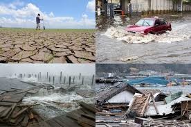 La ONU advierte que los desastres climáticos aumentaron un 80% en el siglo XXI | Clima, naturaleza y medio ambiente