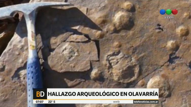 Hallaron una forma de vida de hace 545 millones de años en Olavarría | Actualidad