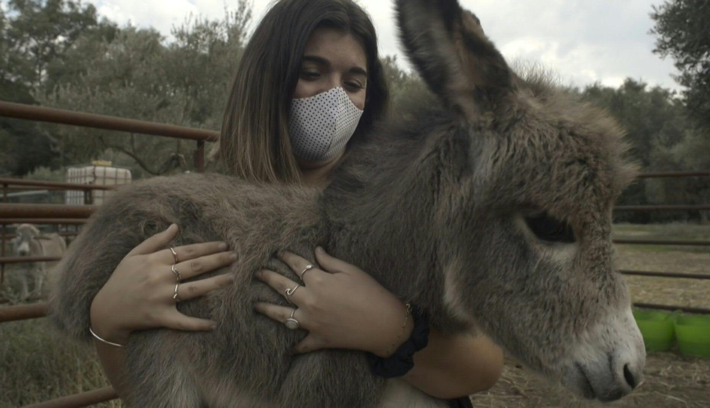 "Asnoterapia" para combatir el estrés | Curiosidades