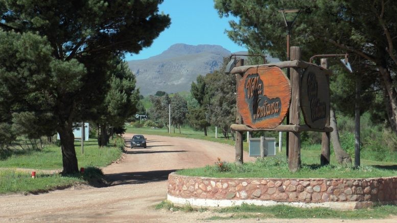 Crueldad en Villa Ventana: denuncian la matanza de perros con armas de fuego | Actualidad