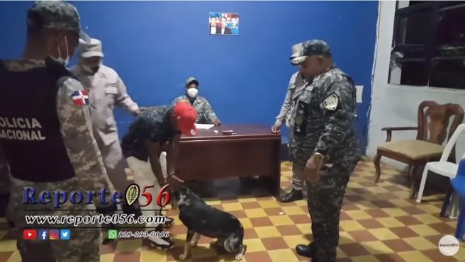 Video: el perro que logra que la policía libere a su dueño preso | Curiosidades