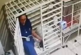 Video: la veterinaria que le cuenta un cuento a un perro enfermo | Curiosidades