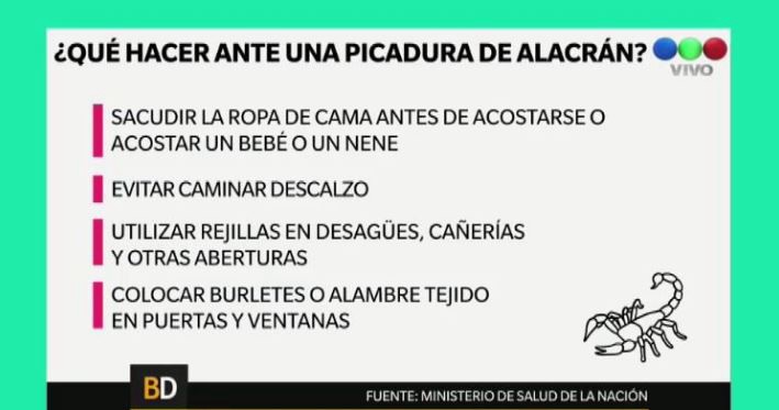¿Qué hacer ante la aparición de un alacrán? | Actualidad