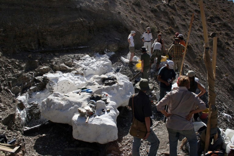 Chubut: descubrieron en una especie de dinosaurio que ayuda a comprender el período volcánico | Actualidad