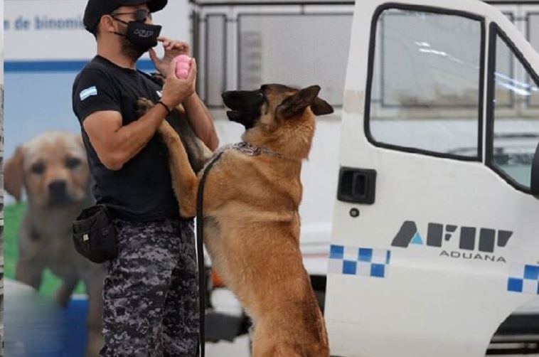 Distinguen al centro de entrenamientos de perros de la aduana como uno de los mejores de la región | Actualidad