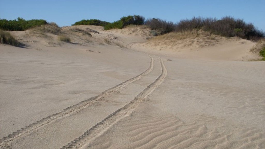 Una turista murió tras perderse en los médanos de Villa Gesell | Actualidad