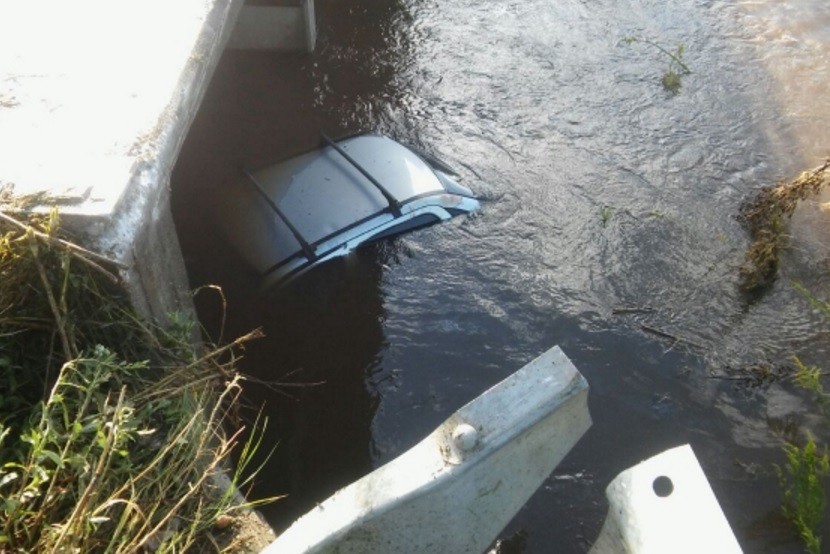 Intentó esquivar a un carpincho en la ruta y terminó con el auto en un arroyo | Actualidad