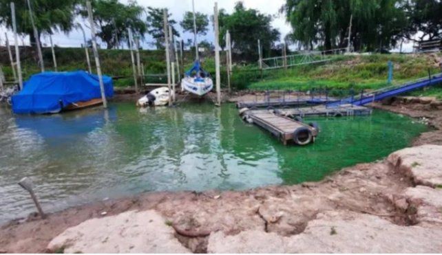 Recomiendan no ingresar a zonas del río Paraná donde se detecten manchas verdes en la superficie | Clima, naturaleza y medio ambiente