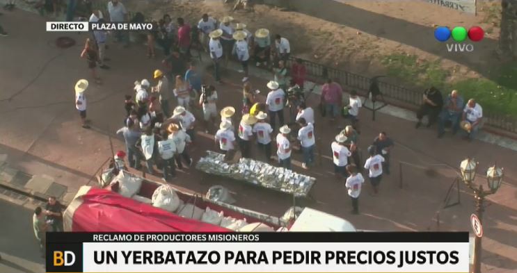 Yerbatazo en Plaza de Mayo: repartirán gratis 30 mil paquetes | Actualidad