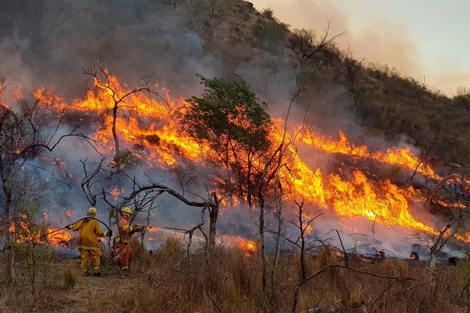 Renuevan el alerta por riesgo extremo de incendios en Córdoba | Clima, naturaleza y medio ambiente