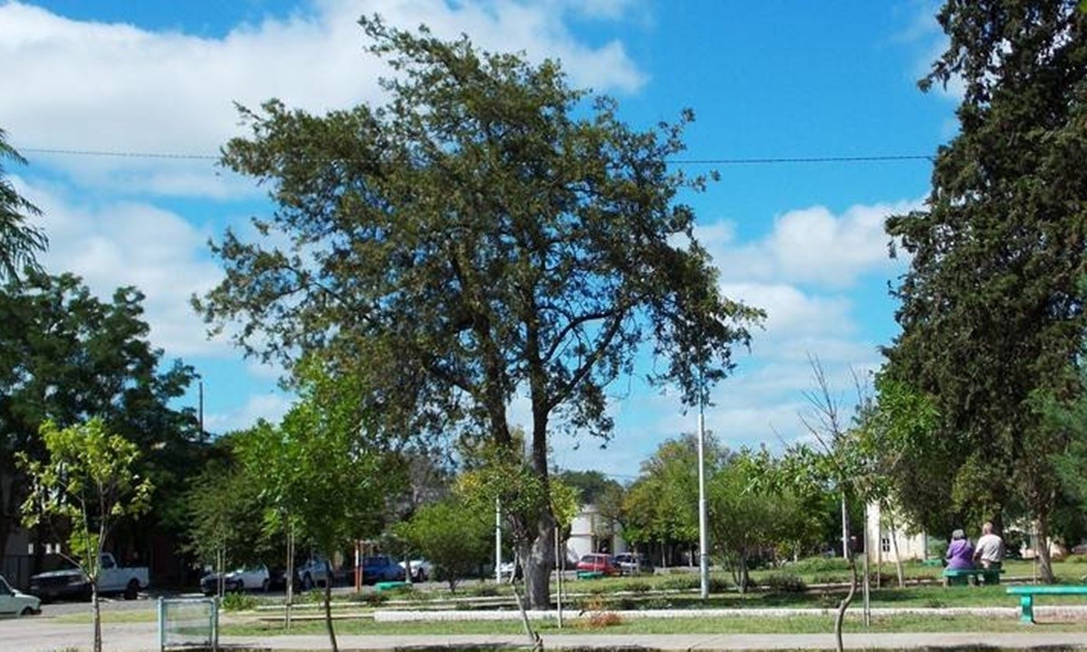 Una mujer de 22 años fue asesinada en Mayor Buratovich | Actualidad