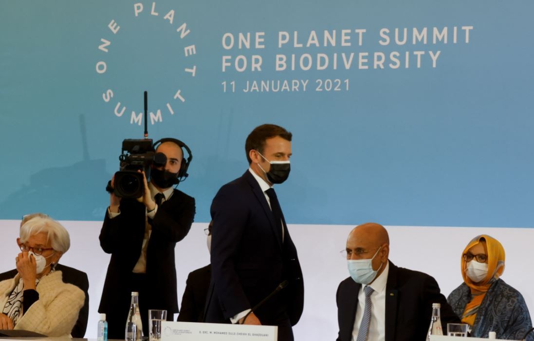 Cumbre en París: 2021 será un año clave para frenar el colapso de la biodiversidad | Clima, naturaleza y medio ambiente