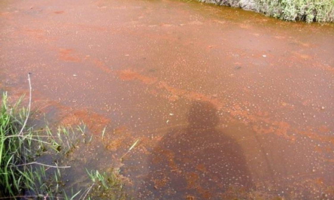 La unidad antilavado querelló a un fabricante de jugo por contaminación ambiental | Actualidad