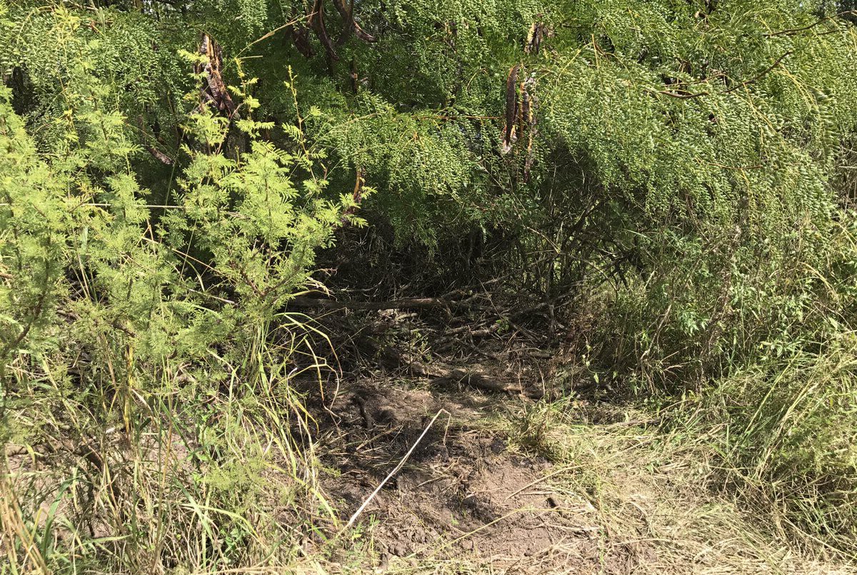 El cuerpo de Micaela fue hallado sin ropa, abajo de un árbol | Actualidad