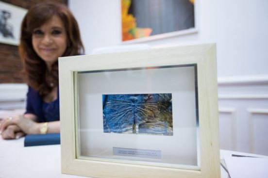 Científicos del Conicet bautizaron a un insecto "en honor" a Cristina y Néstor Kirchner | Actualidad