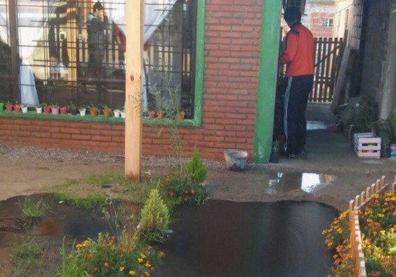 Comodoro Rivadavia: se rompió un caño en una casa y salió petróleo | Actualidad