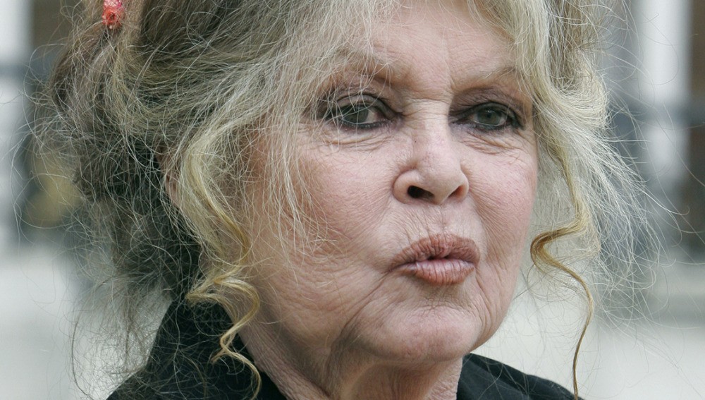 Polémicos dichos de Brigitte Bardot sobre el coronavirus: "Es bueno porque autorregula la superbolación" | Espectáculos