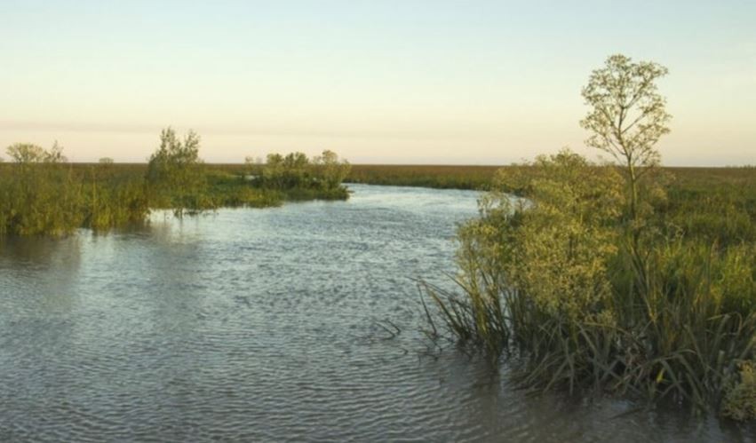 Apareció una nueva isla en San Isidro: la tercera en formarse recientemente frente a las costas del municipio | Clima, naturaleza y medio ambiente