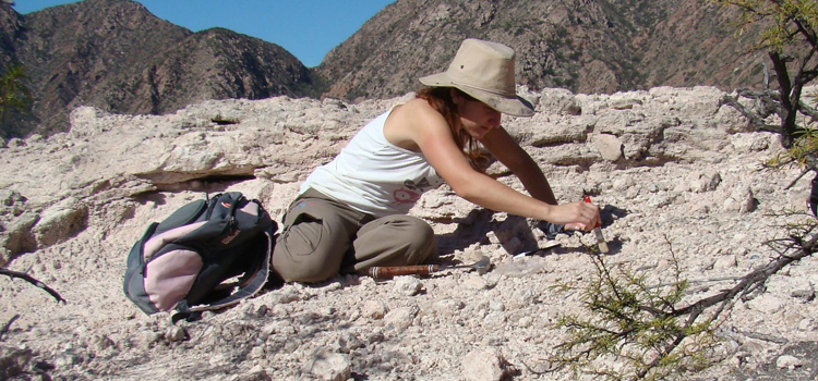 Identifican una especie de reptil que habitó Argentina hace 230 millones de años | Actualidad
