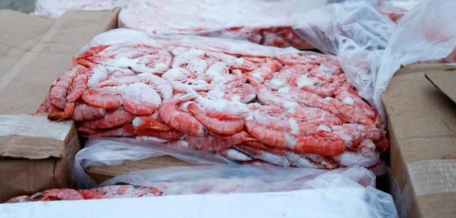 Subastaron más de 4 toneladas de langostinos decomisados | Actualidad