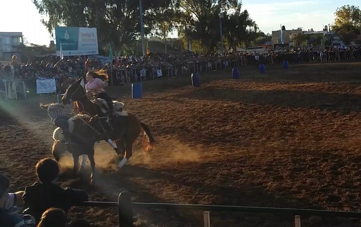 Video impactante: fuerte choque entre dos caballos durante una exhibiciòn | Actualidad