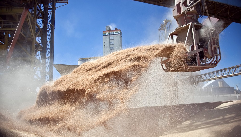 El ministerio de Agricultura realizará el seguimiento de la comercialización de granos | Política