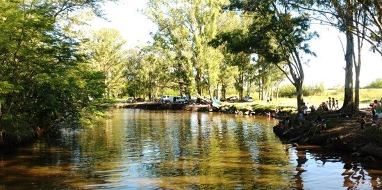 Festival en defensa del río Luján: entregan plantas y semillas | Clima, naturaleza y medio ambiente