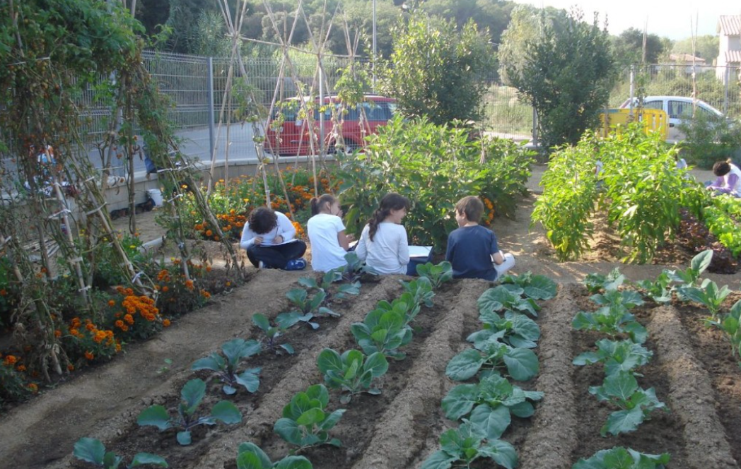 Proponen incorporar huertas orgánicas en las escuelas municipales de Mar del Plata | Actualidad