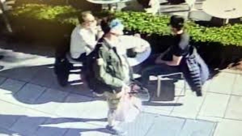 Procesaron al psiquiatra del hombre que mató a un policía a metros del MALBA | Actualidad