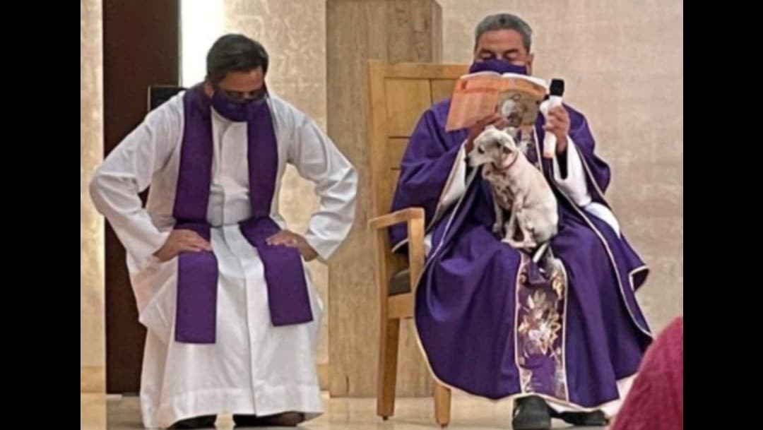Cura que lleva a misa a su perrito enfermo se vuelve viral | Curiosidades
