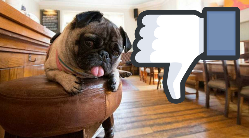 No a las mascotas: los porteños decidieron que no podrán ingresar a los bares | Actualidad