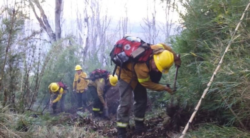 Incendios forestales en Chubut: registran foco contenido en el Parque Nacional Los Alerces | Clima, naturaleza y medio ambiente