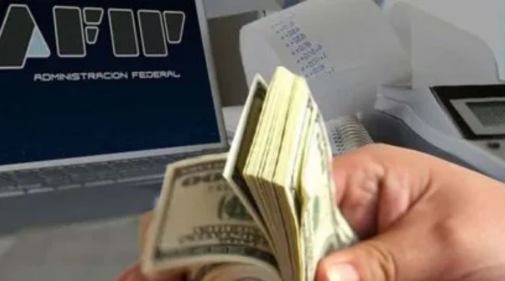 Jueza ordenó a la AFIP que no cobre el impuesto a las grandes fortunas a un empresario | Política