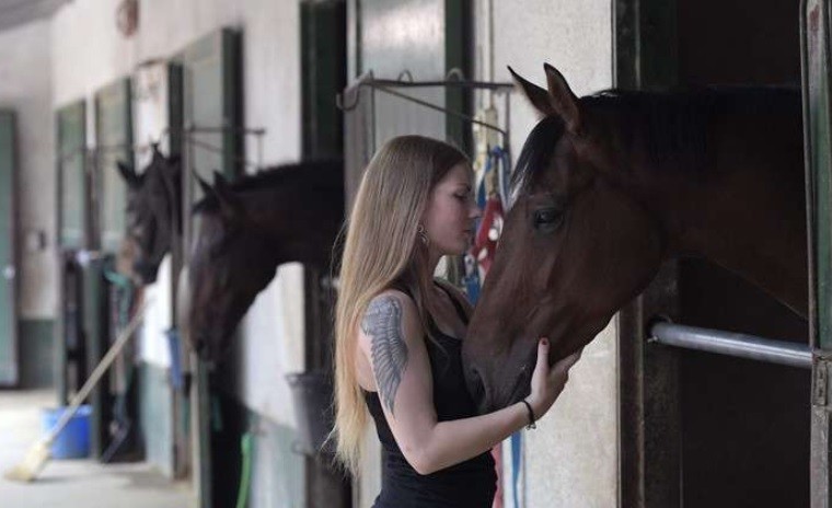Nuevo estudio: el caballo comprende mejor cuando se le habla como a un bebé | Curiosidades