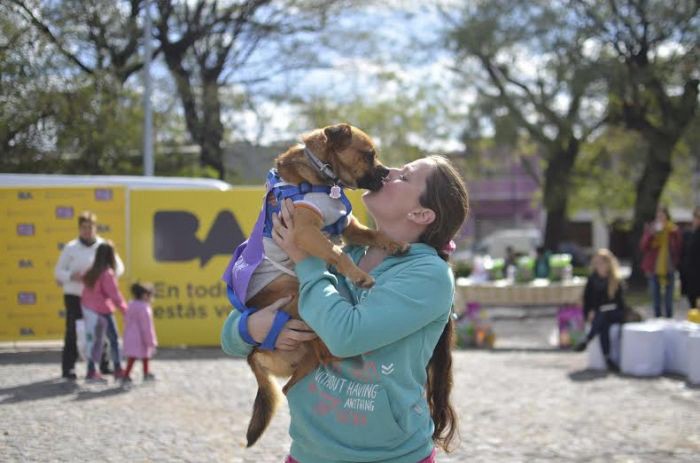La adopción de perros y gatos creció un 133% en Buenos Aires | Actualidad
