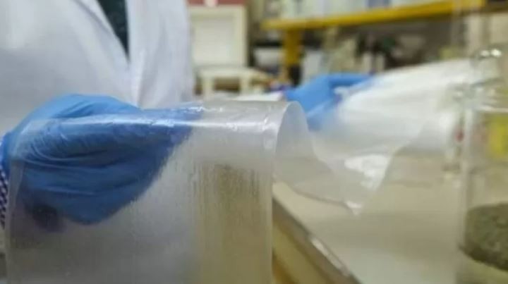 Diseñaron plásticos con propiedades antimicrobianas | Actualidad