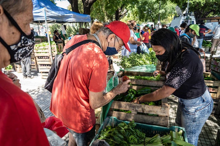 Manzana, tomate, lechuga y otros 7 productos agroecológicos, desde hoy a precios accesibles | Actualidad