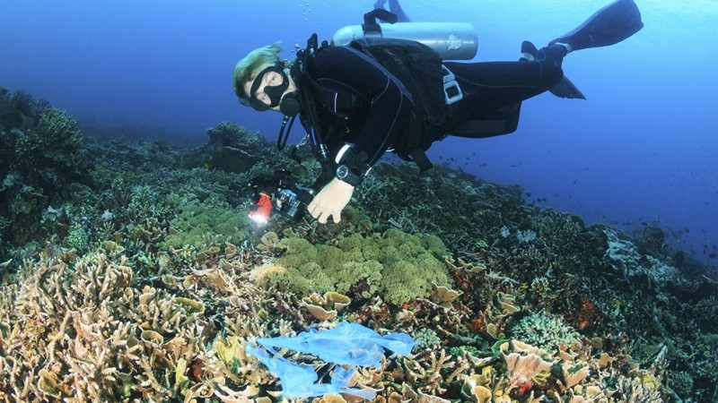 Argentina integra iniciativa mundial para acabar con la basura marina y limpiar los océanos | Clima, naturaleza y medio ambiente