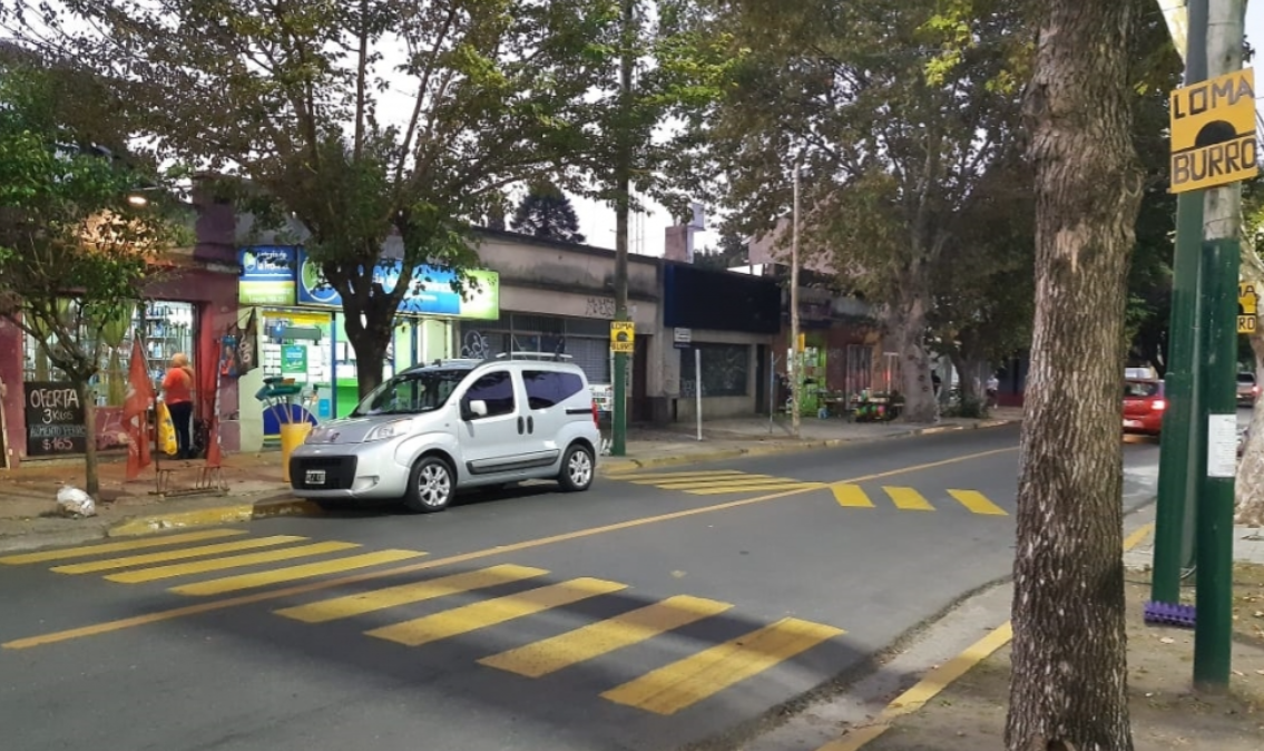 Pintaron una "falsa loma de burro" para evitar accidentes | Actualidad