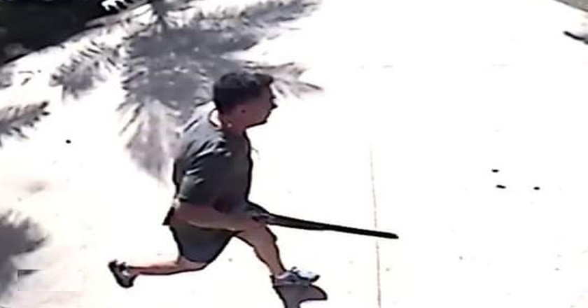 Suspendieron al director de un hospital por matar a un perro de una empresa vecina a su casa | Actualidad