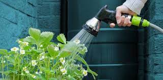 Comienza ciclo de conferencias sobre uso del agua organizado por Facultad de Veterinaria de la UBA | Clima, naturaleza y medio ambiente