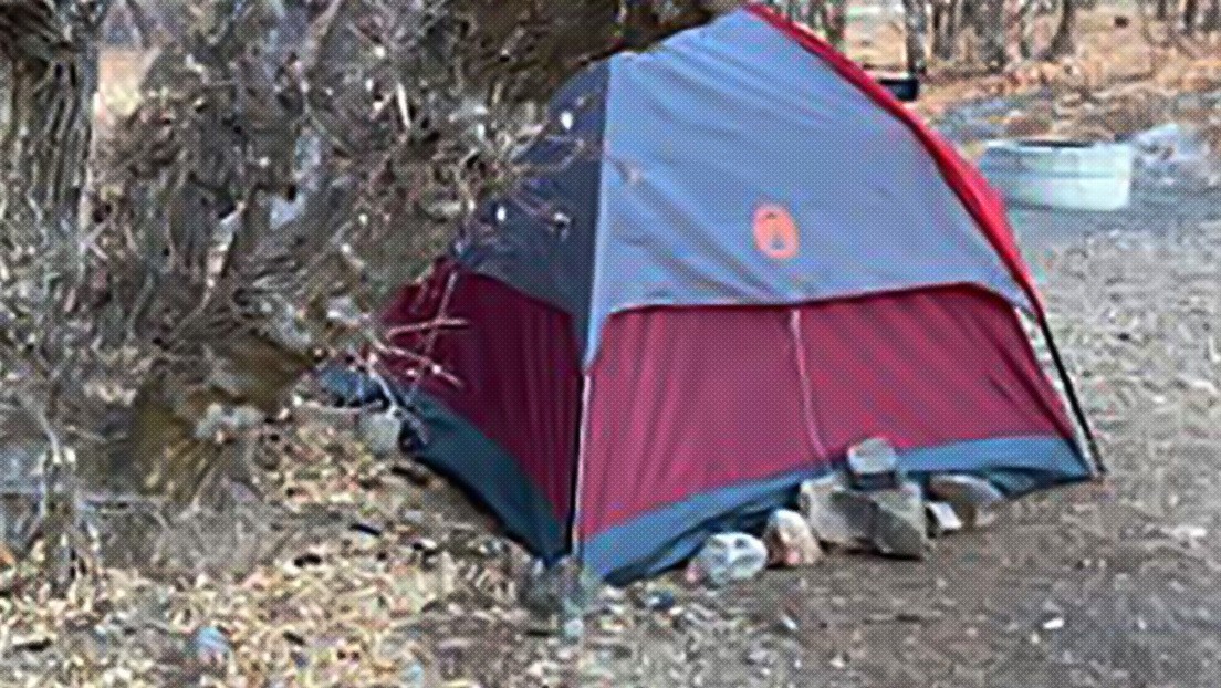 Desapareció durante 6 meses y la encontraron viviendo en una carpa en el bosque comiendo pasto | Internacionales