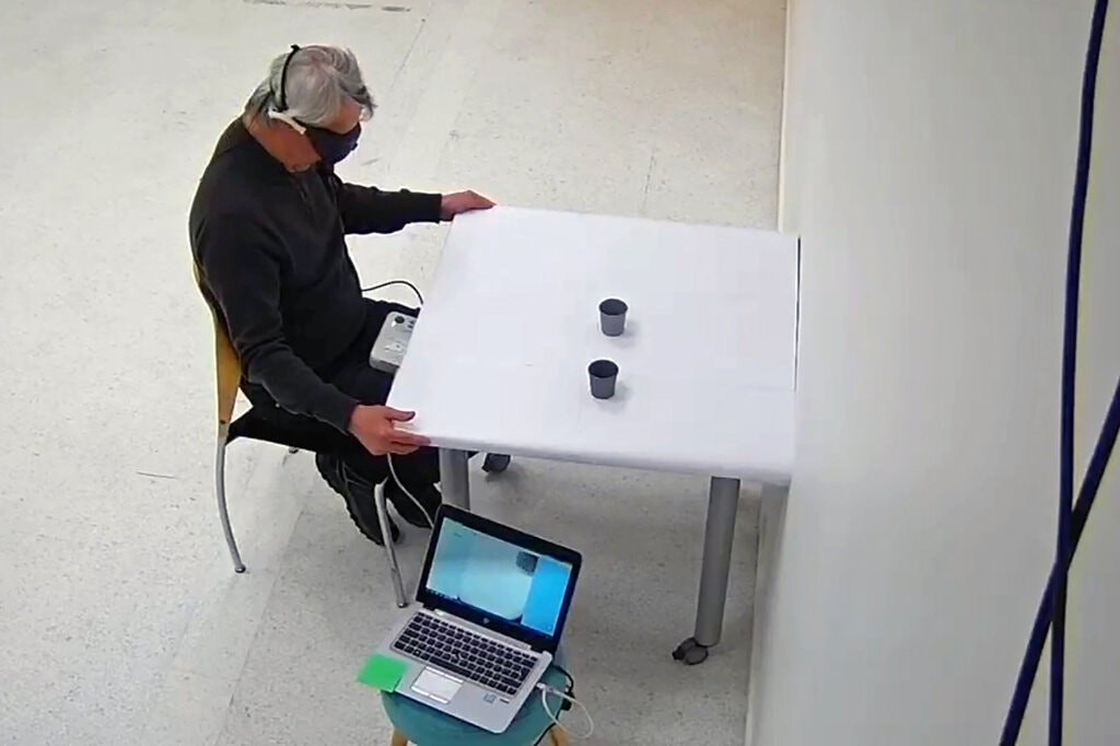 Terapia optogenética: paciente ciego recobró parcialmente la vista | Internacionales