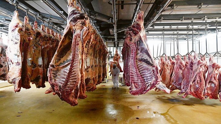 La Aduana denunció a 19 frigoríficos por fraude en exportaciones de carne | Política