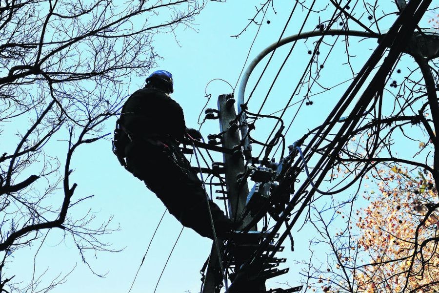 "Los electricistas": cayó banda de falsos operarios que robaban cables del tendido público | Actualidad