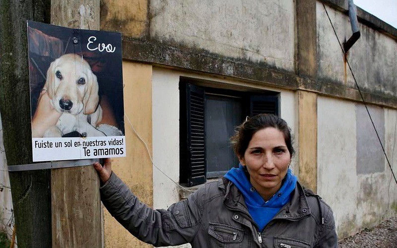 Más de 300 animales aparecieron envenenados en un pueblo rural cercano a La Plata | Actualidad
