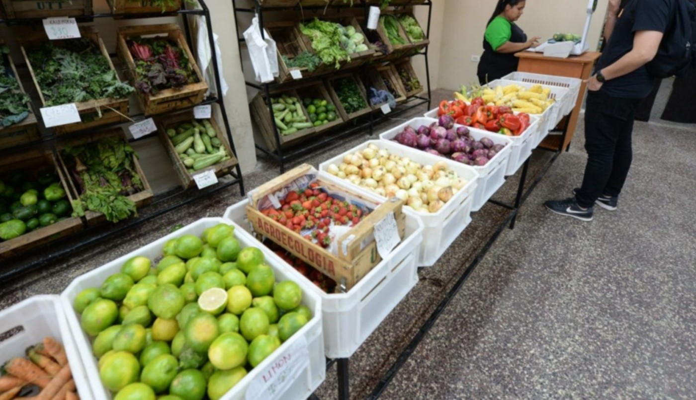 Frutas agroecológicas a precios populares: cuatro kilos por $290 | Actualidad