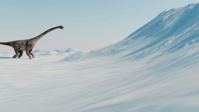 Los dinosaurios fueron víctimas del frío antes del impacto del meteorito, según un estudio | Internacionales