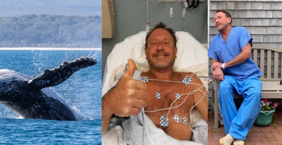 "Sentí sus mandíbulas aplastando mis piernas": el dramático relato del hombre que fue tragado por una ballena y sobrevivió | Internacionales